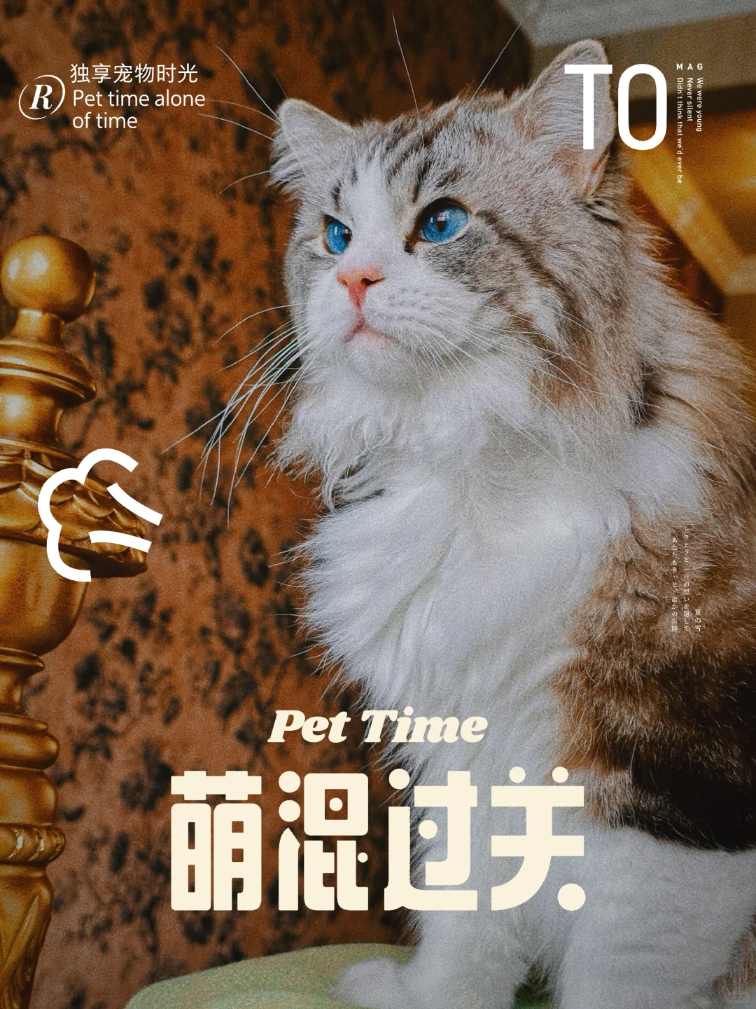 【秀猫日常】自从有了ta，我更爱宅家了！