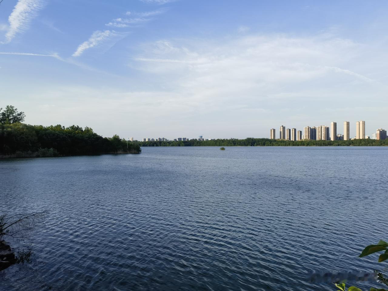 七律.暮春吟
阵阵曛风过眼空，繁华落尽夕阳红。
休怜此际花香谢，且喜明朝果实丰。
