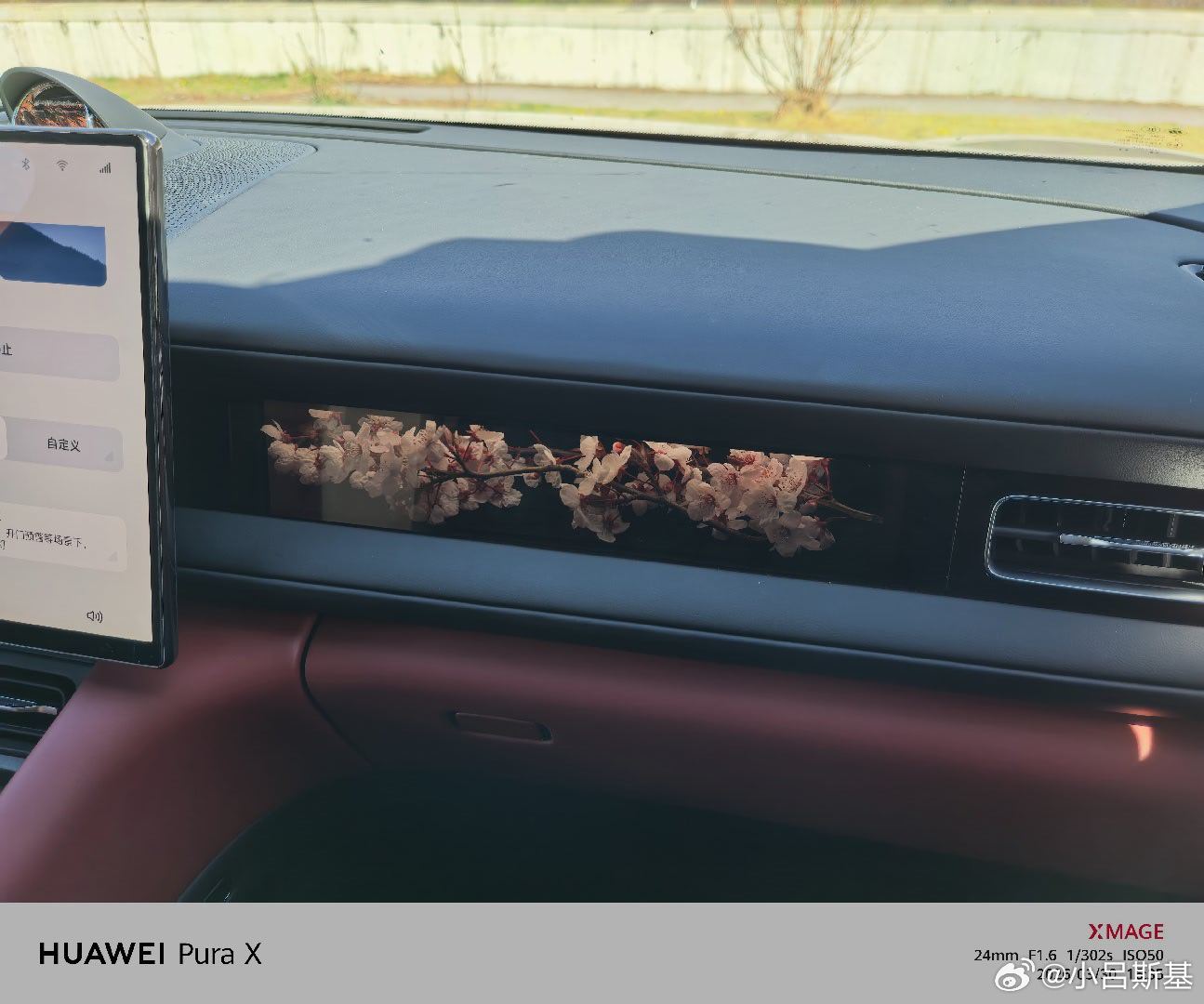 给问界M6的副驾橱窗里塞了一枝桃花祝看到的朋友都走桃花运 