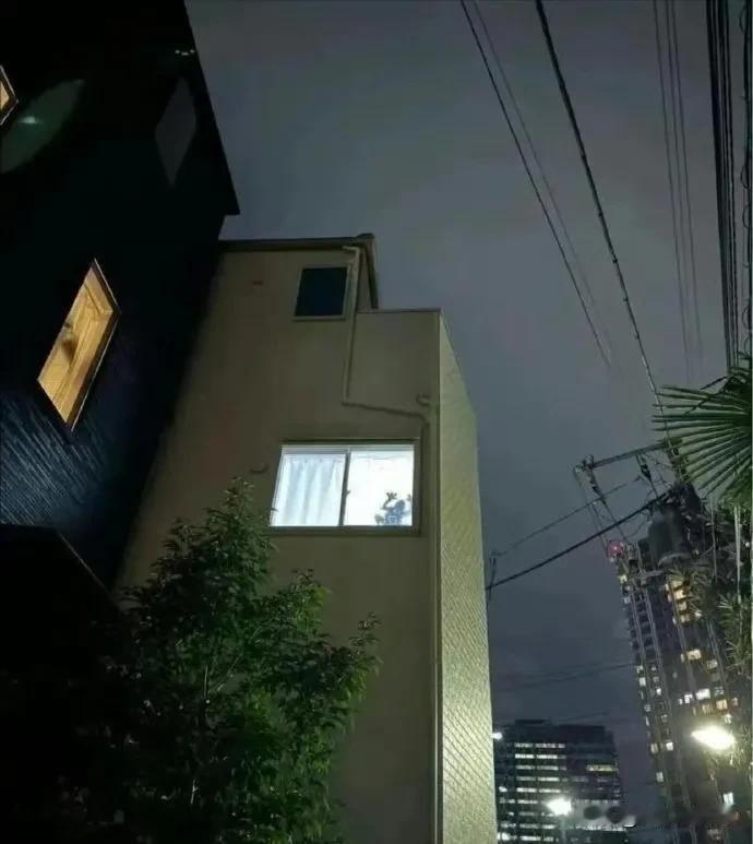 哪个城市的青蛙这么大？ ​