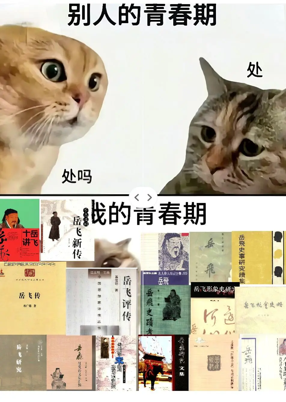 飞起于效用，平居忧国，无所不为。征讨出师，慷慨勇往，隆冬按边，上有非我...