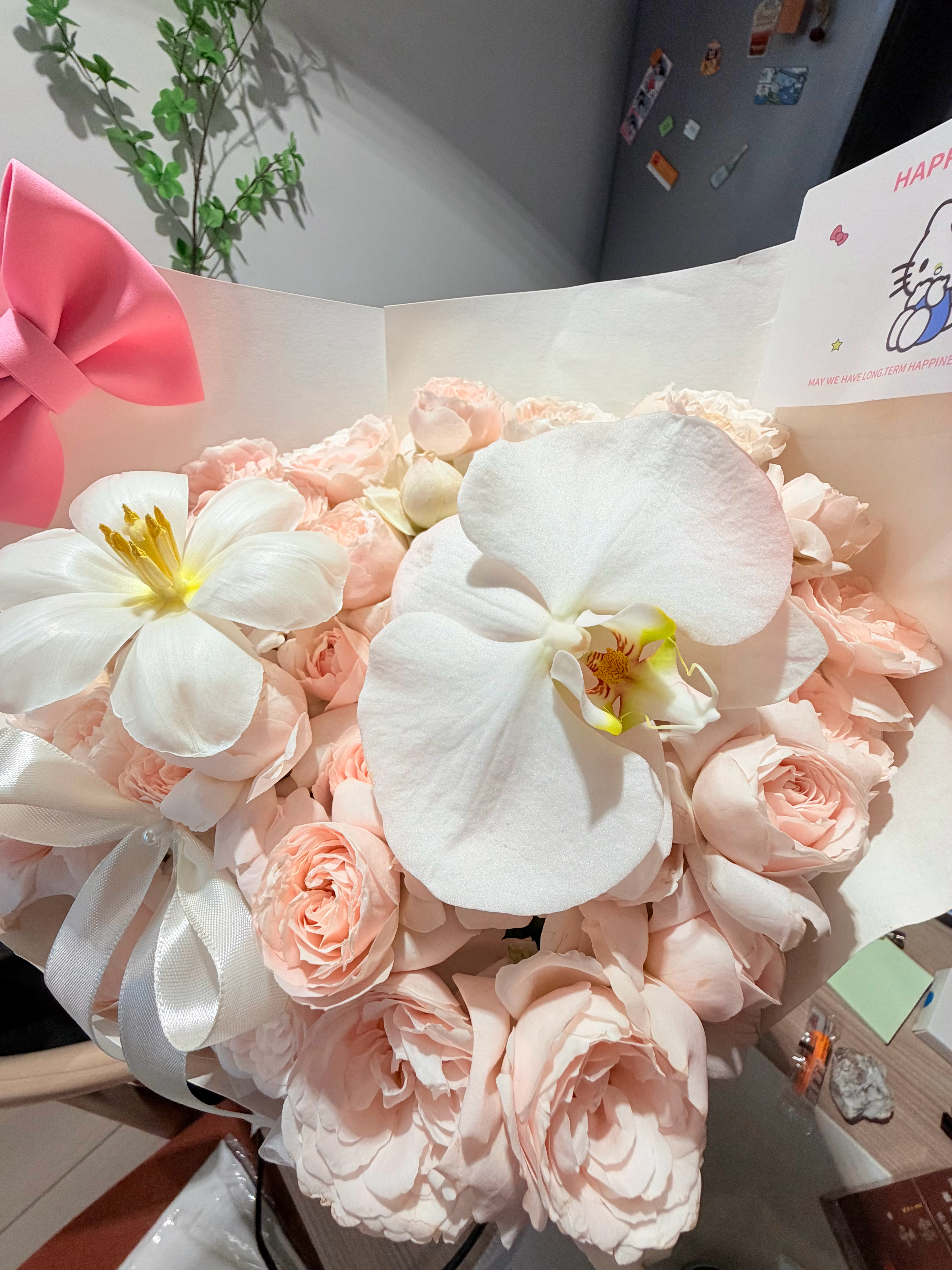 🧩普通日子（深圳真的很好吃！来学习那么久还是没吃够！）
