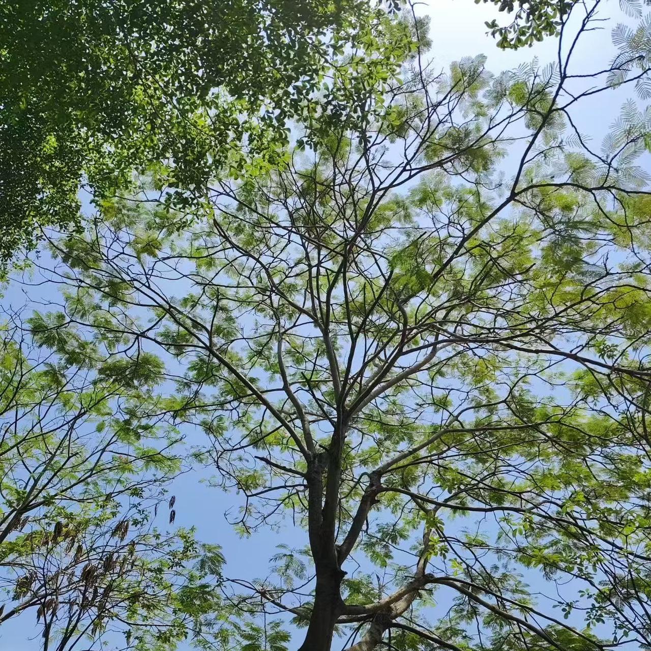 《繁花》这句台词道尽成年人识人处世的通透：永远别笃定地给身边人贴上好坏、忠奸、靠