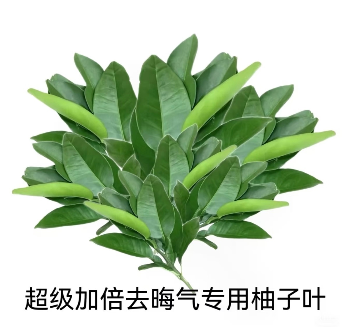 我有一片胡杨林 🐑每个孩子都是一座宝藏阳光信用[超话] 善意从来都不是轰轰烈烈