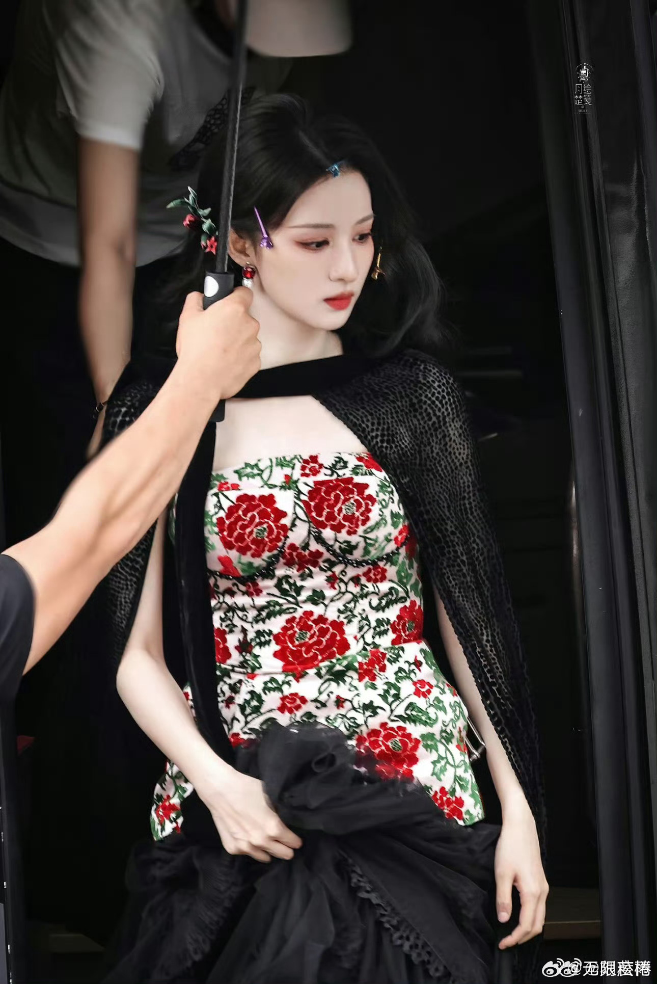 桫椤可以妖艳，可以清纯，在不同的时间段不同的人面前扮演不同的角色，但桫椤是树啊，