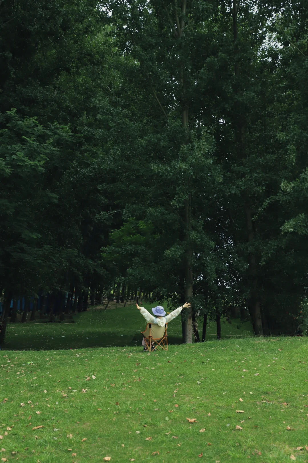 郑州露营🍃在城市里的治愈森林拥抱夏天的风