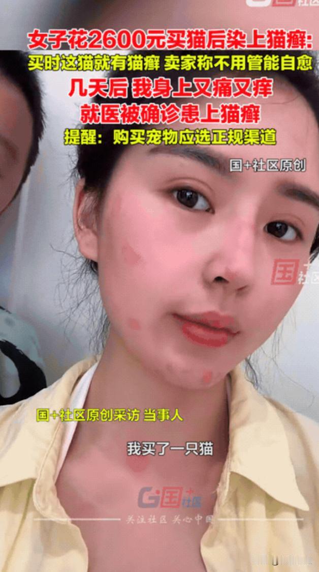 崩溃了！浙江嘉兴一女子手头宽裕却不知如何开销，竟花费2600元购买了一只猫咪作为
