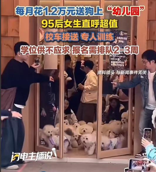 人不如狗实锤了！上海 95 后女生每月砸 1.2 万送狗上 “贵族幼儿园”，还得