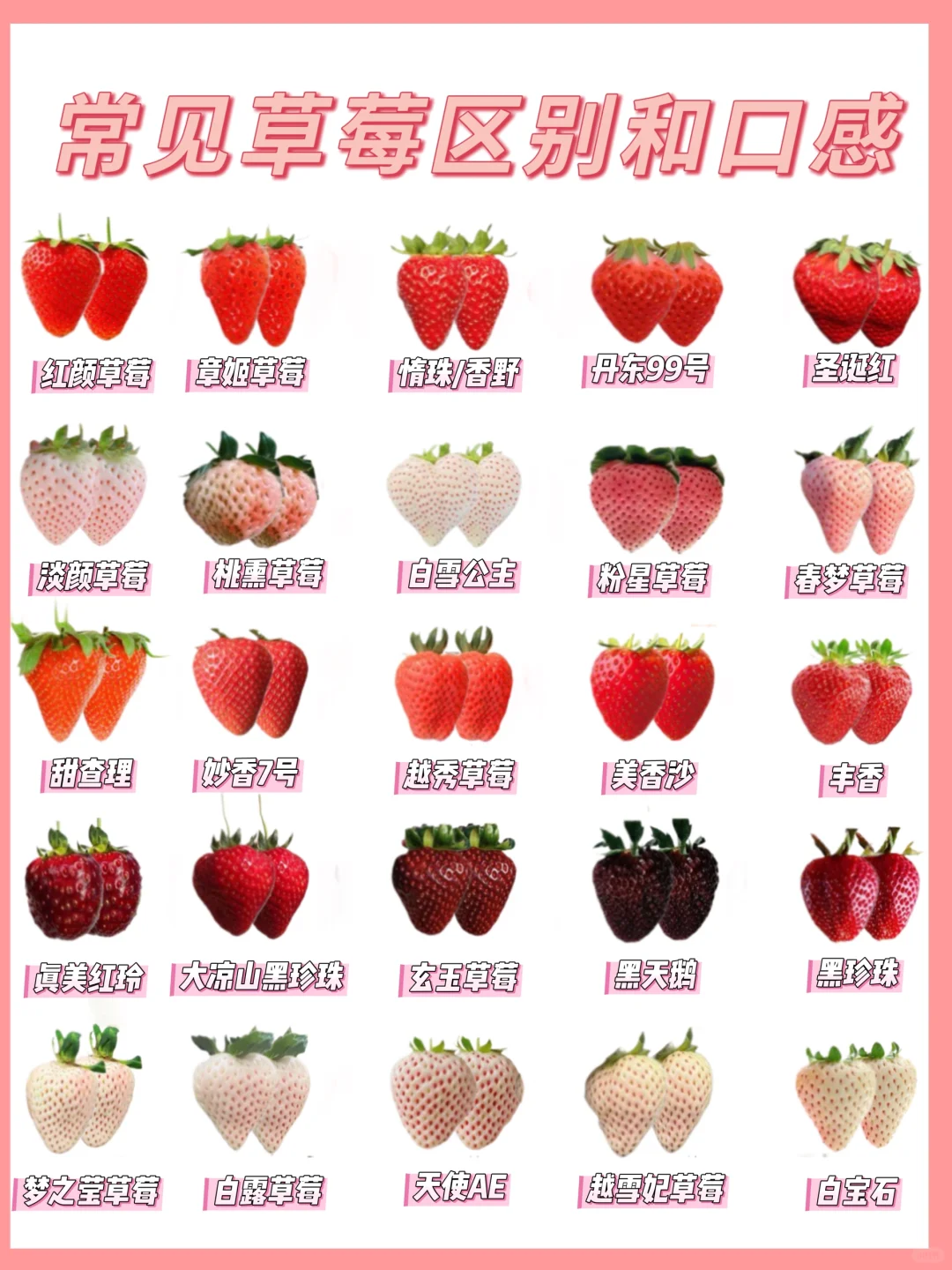 25种草莓你吃过哪些？草莓控告诉你挑选秘诀