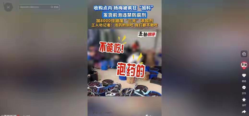 毒瘤重生，谈何安全
福建毒杨梅卷土重来，升级版登场！暗访记者刚探头，死亡威胁紧随