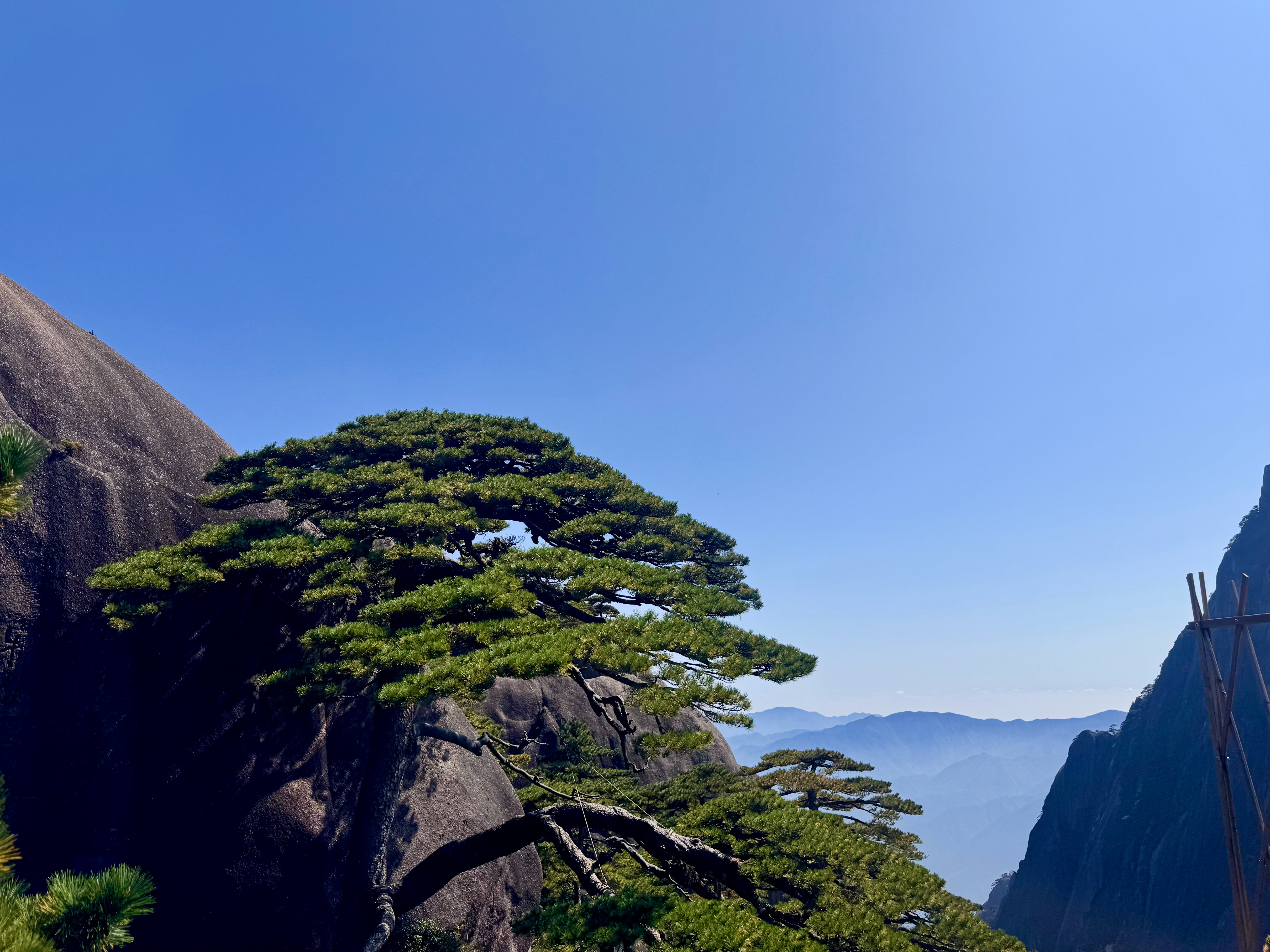 黄山已爬不欠除了今天不管上楼梯还是下楼梯都大腿超痛以外，一切都很好[捂嘴哭][捂