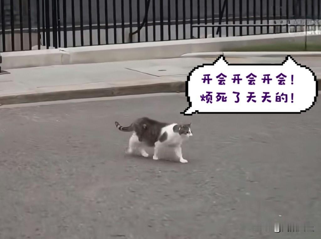 泽连斯基抵达唐宁街10号，与英国首相斯塔默、法国总统马克龙、德国总理梅尔茨举行闭