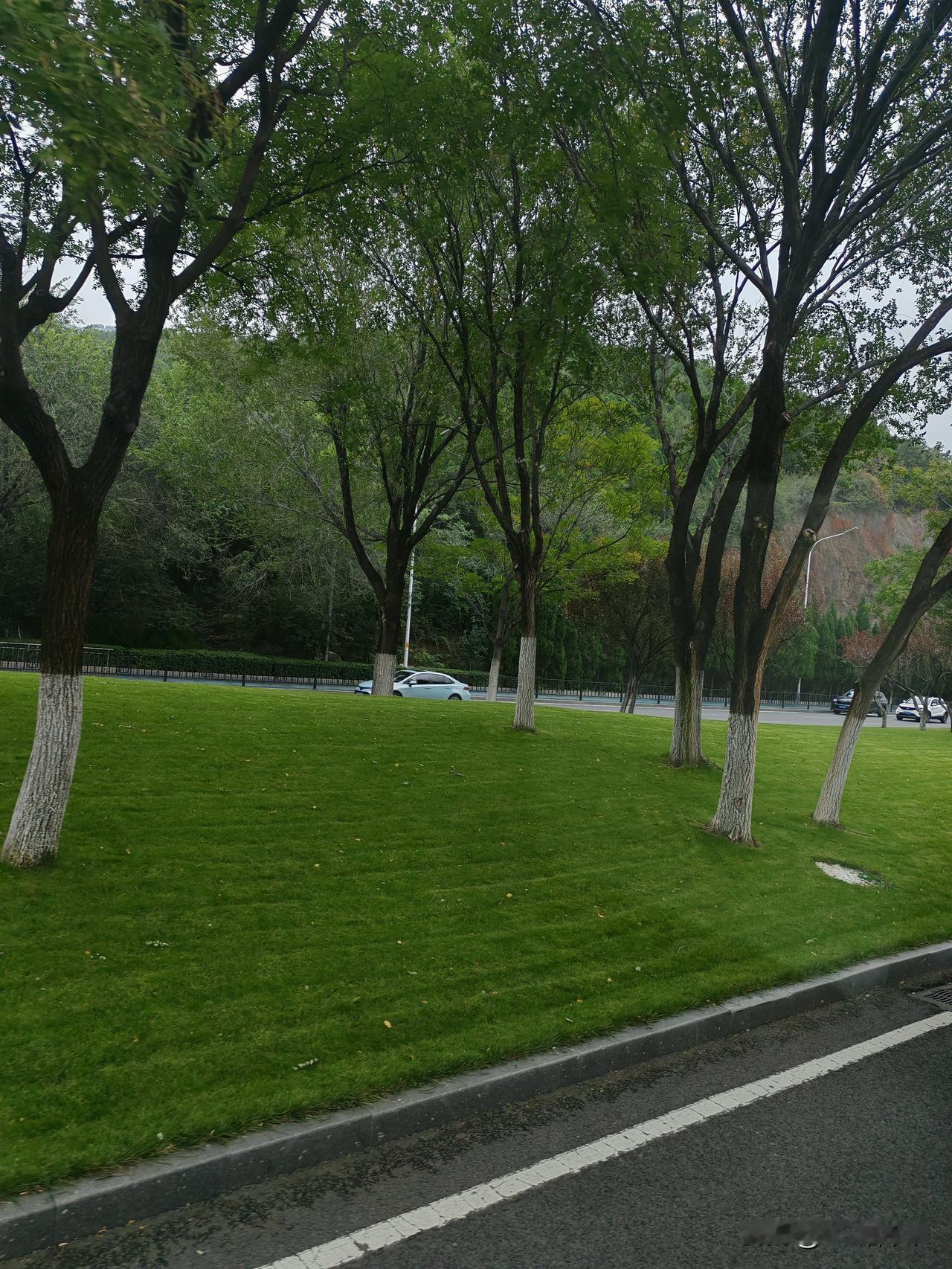 济南排第五，济南人有什么感受吗？
一城山色半城湖，济南金景色还是不错的。坐车走了