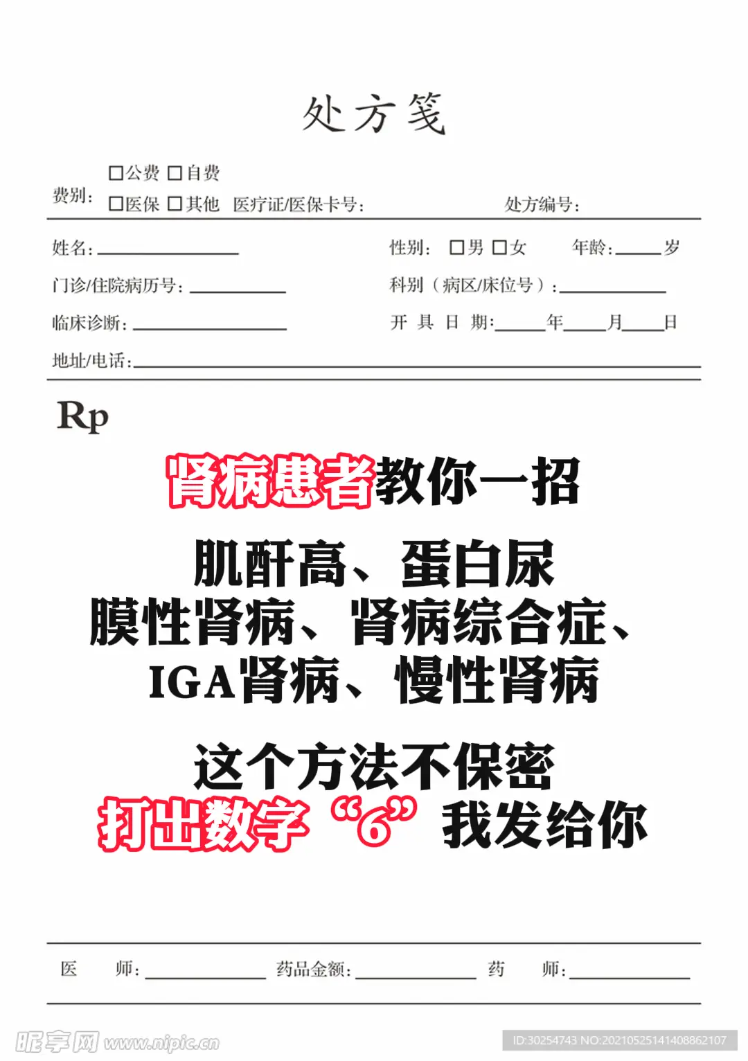 肾病 健康 科普