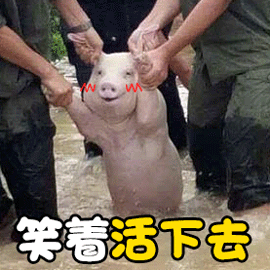 上海医保先自费然后去医保局报销，不影响什么的，以前也有过这种情况[来抱抱][来抱