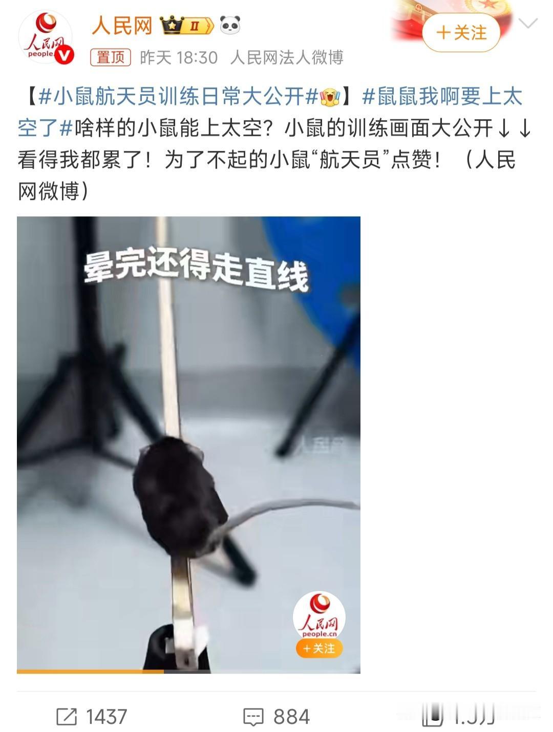 鼠鼠我啊要上太空了

我们家的鼠鼠要第一次跟随神舟二十一号飞船上太空了。

上个