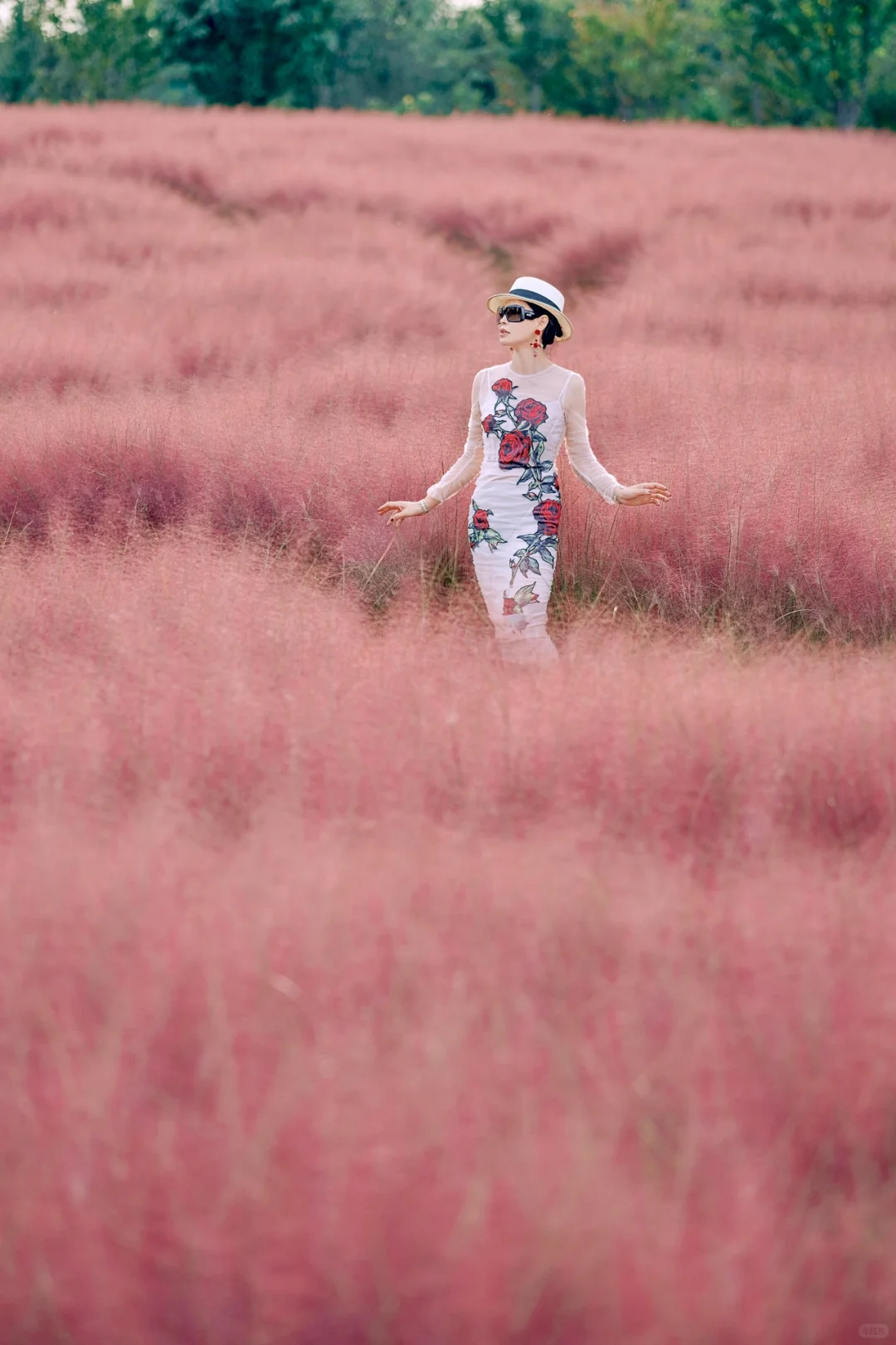 北京9月限定版🌸你的私藏花海拍照地来啦！📸