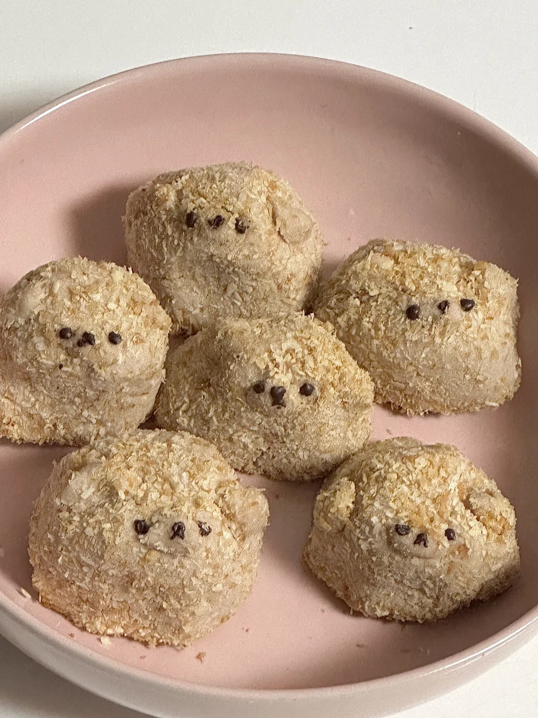邪恶摇粒绒椰子可可饼干