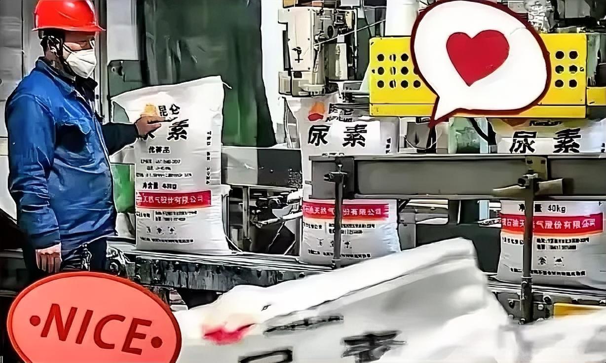 霍尔木兹海峡那边还没消停，谁能想到，咱们西北新疆、宁夏和内蒙的尿素厂却忙得脚不沾