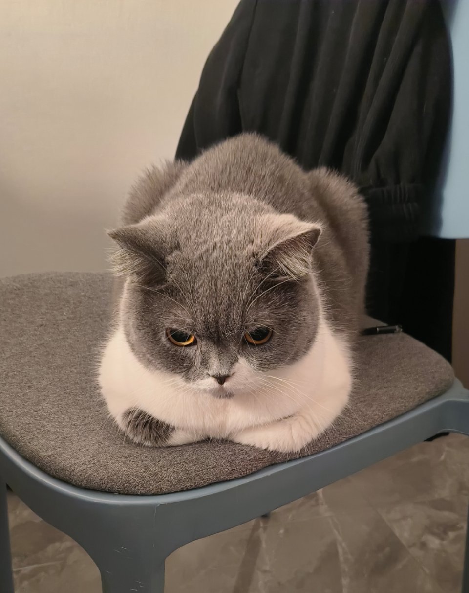 这小东西每天都在想啥 ​​​