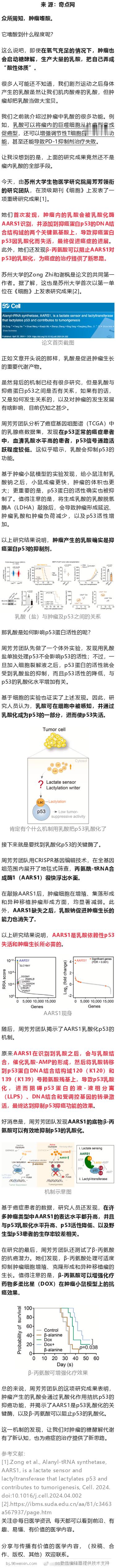 《细胞》：难怪肿瘤偏爱“酸性体质”！苏州大学团队首次发现，瘤内乳酸会导致抑癌蛋白