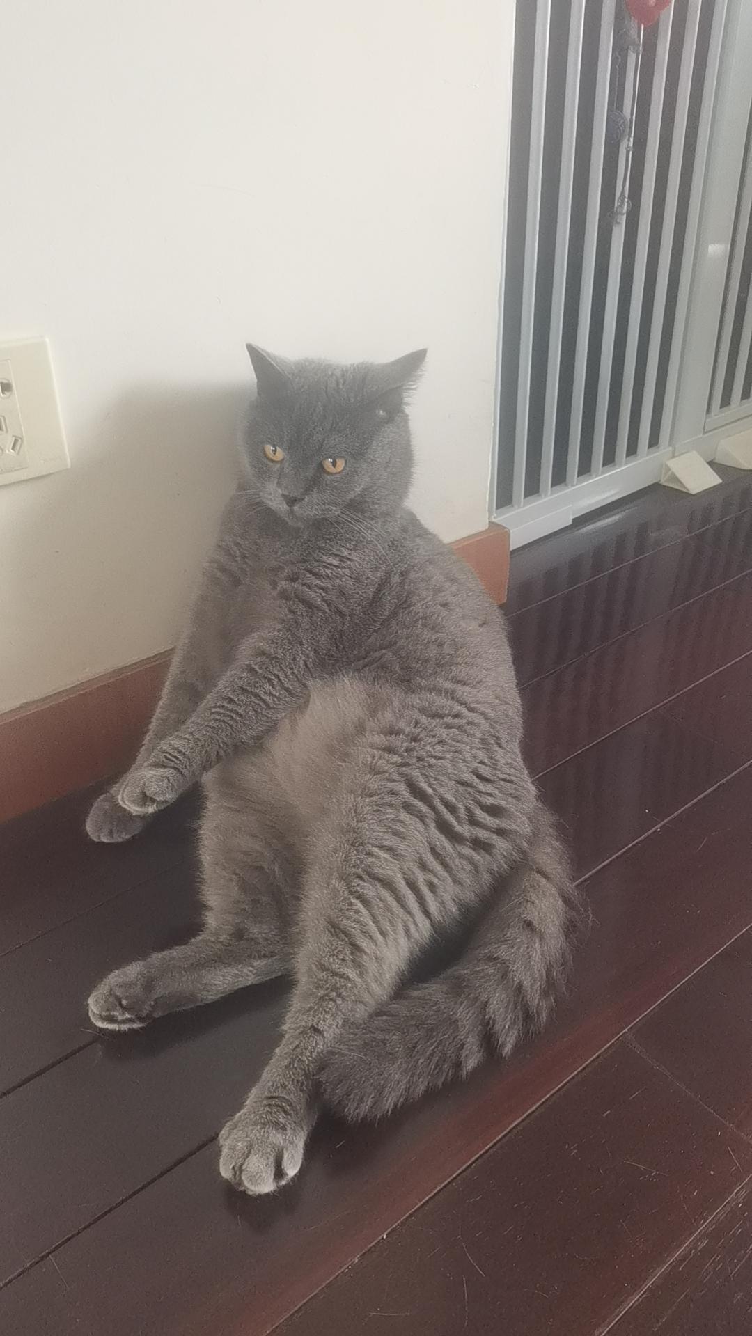 麦粒肿是什么