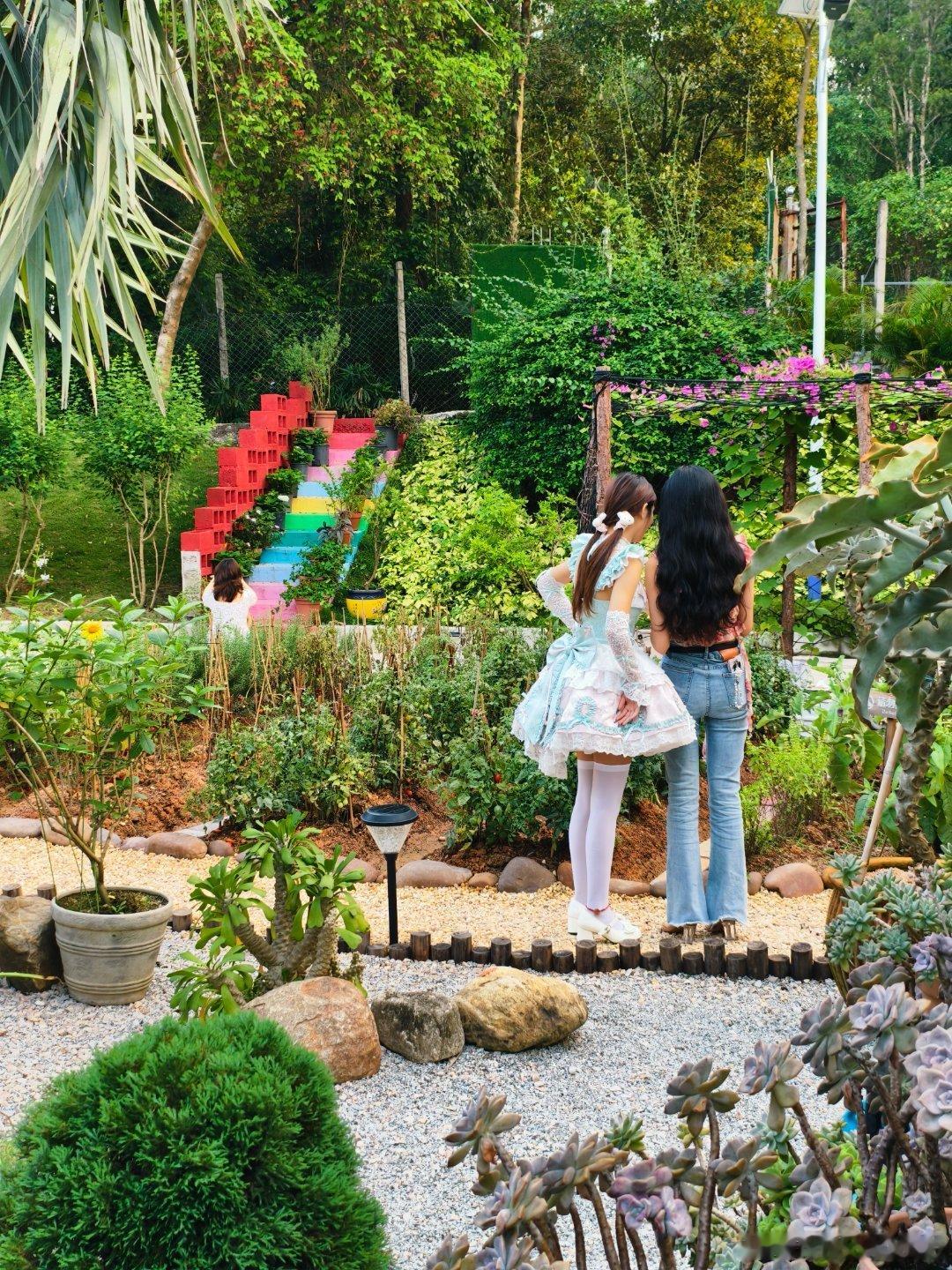 文化中山 打卡就是生产力，有生命力的鲜花环境打卡值+1 中山·90 花野·Fay