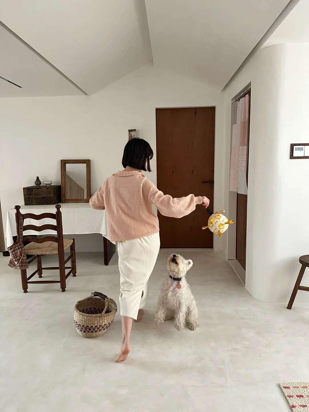 32岁，过上了猫狗双全，不上班的生活
