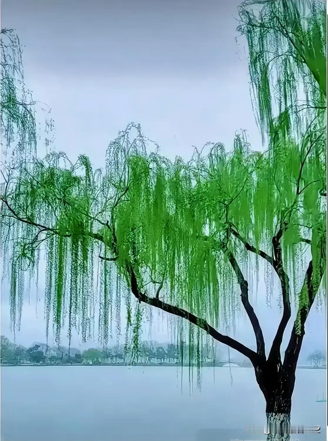 【吟春】
三月新绿风添骚
四野花香正妖娆
杨柳依依轻拂面
摇摇晃晃荡春潮