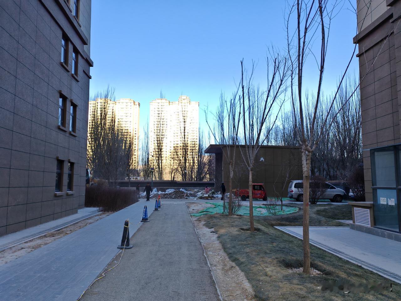 记录我的2026这就是我的随手拍，主要是在落日余晖下的一个随手拍，傍晚的天气，马