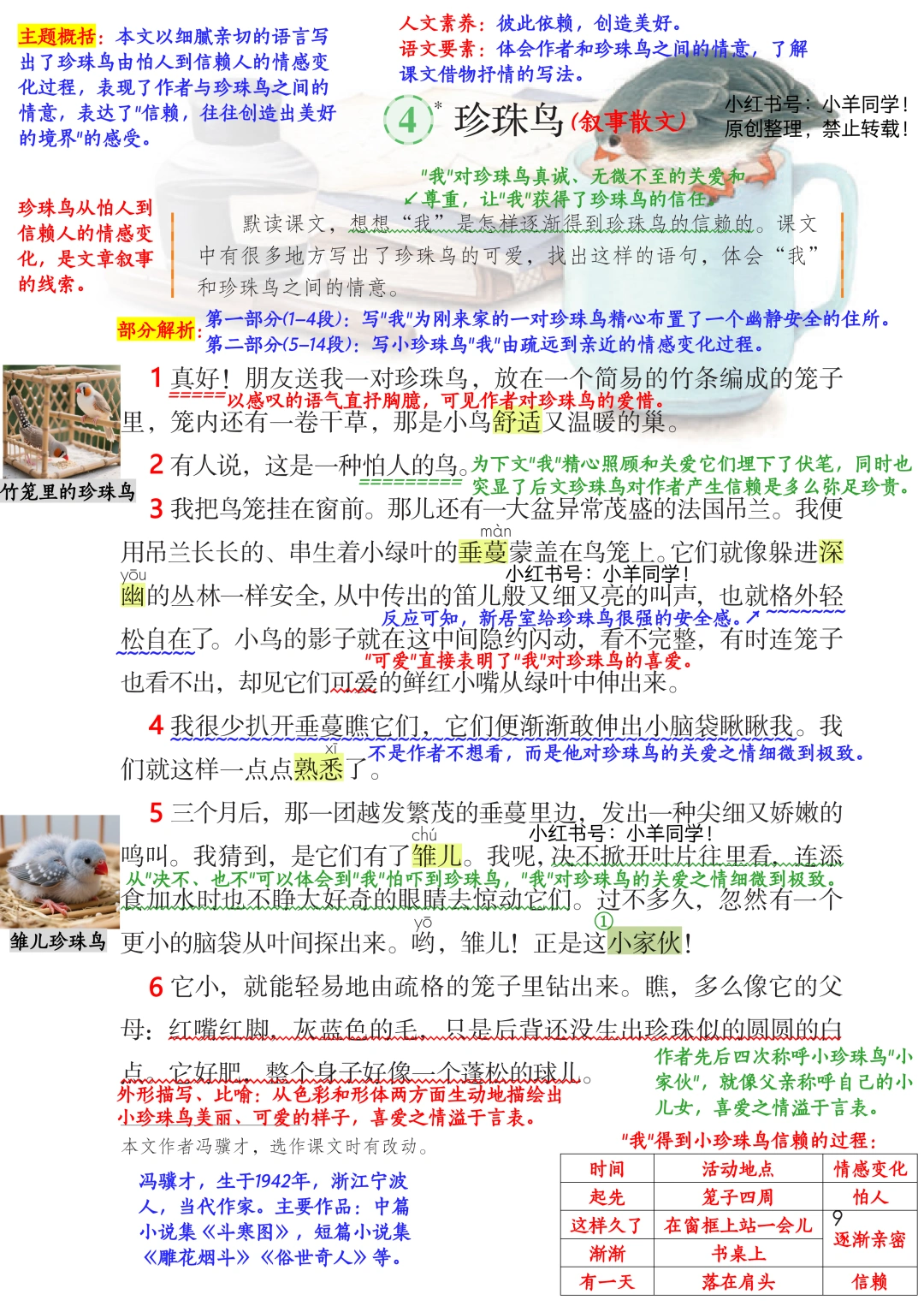五上语文📚第4课《珍珠鸟》笔记