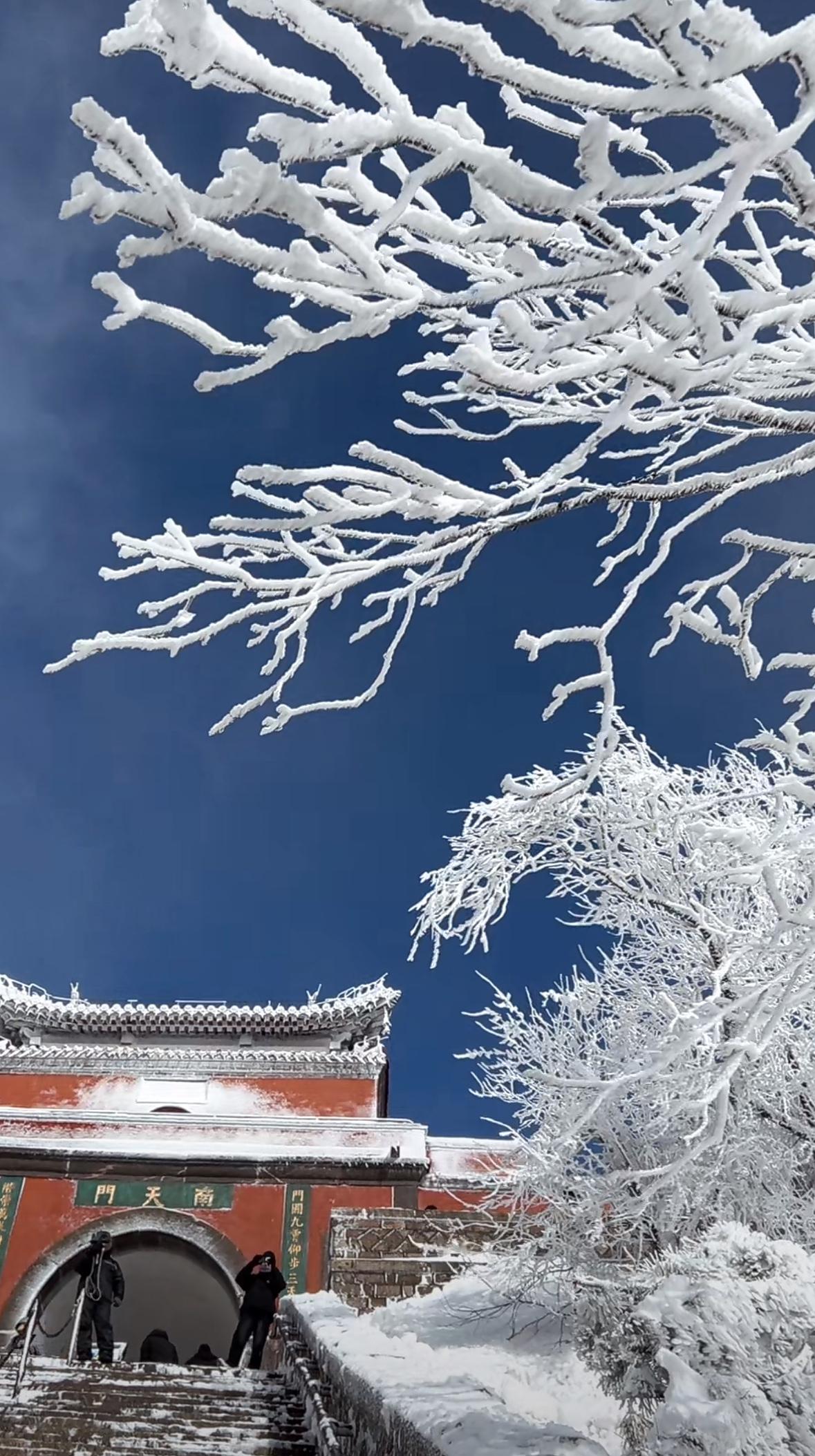 这场2月28日晚—3月1日的强雨雪，确实让山东北部、鲁中山区（尤其泰山）美出了新