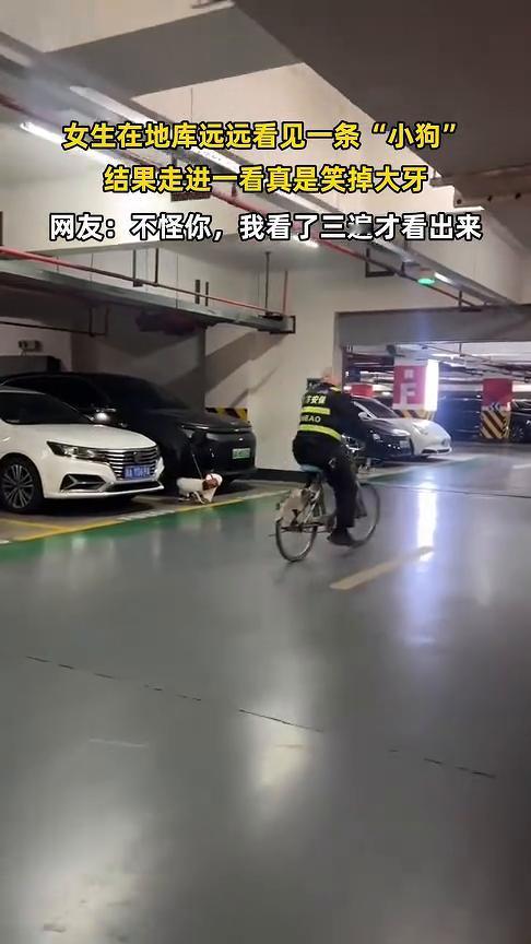女生在地库远远看见一条"小狗"，结果走进一看真是笑掉大牙。
来源：钰言。
网友：