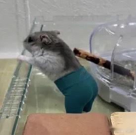 就还挺像 