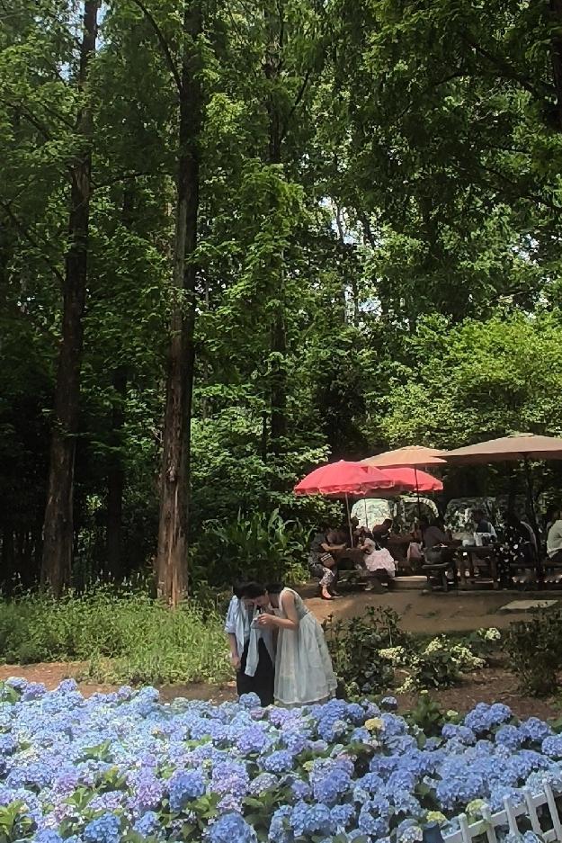 走过半生才懂的道理走过半生，才真正明白珍惜老伴是老年人的美德。人到晚年，身边最珍