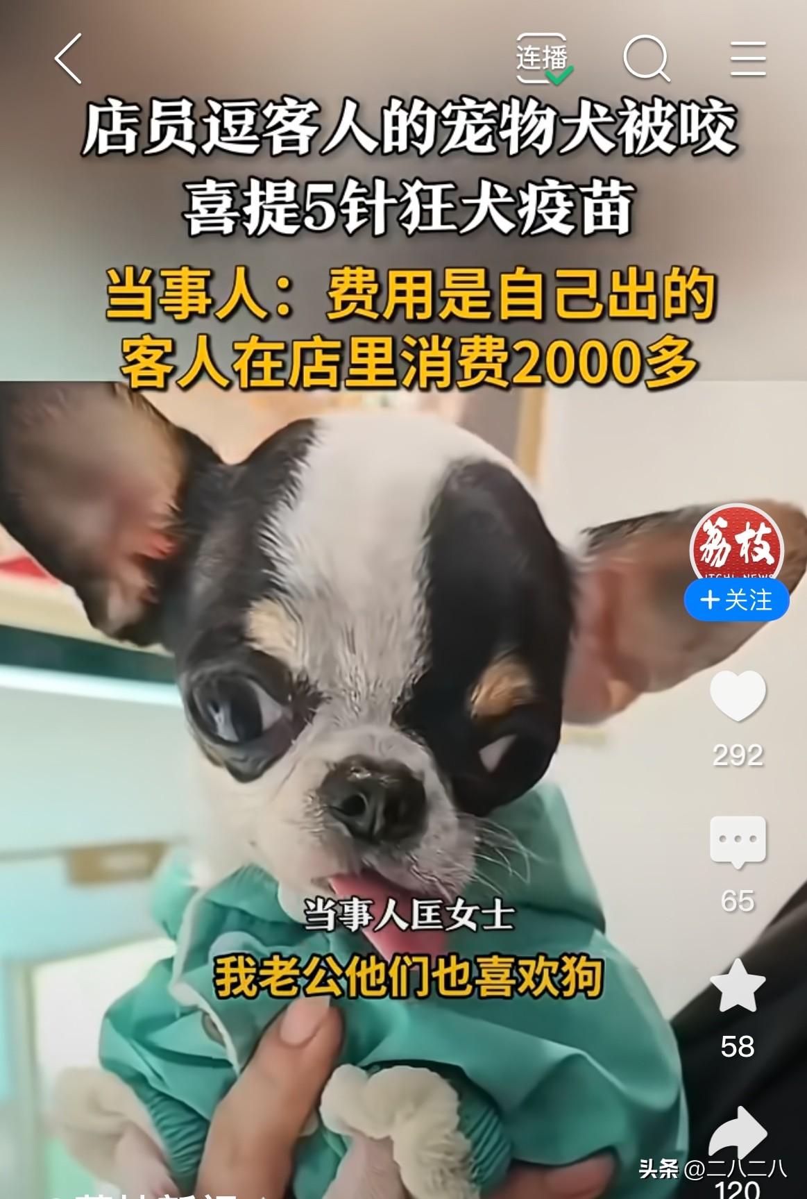 狗狗毕竟是动物，尽量不要惹。

匡女士一家宠物店的营业员，她喜欢宠物，每天和这些