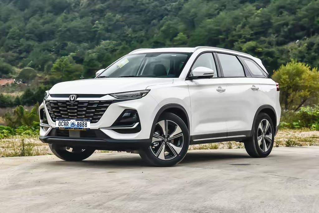 说真的，预算6万想买个靠谱二手SUV，还得家用、空间够用，这事我可太有发言权了！