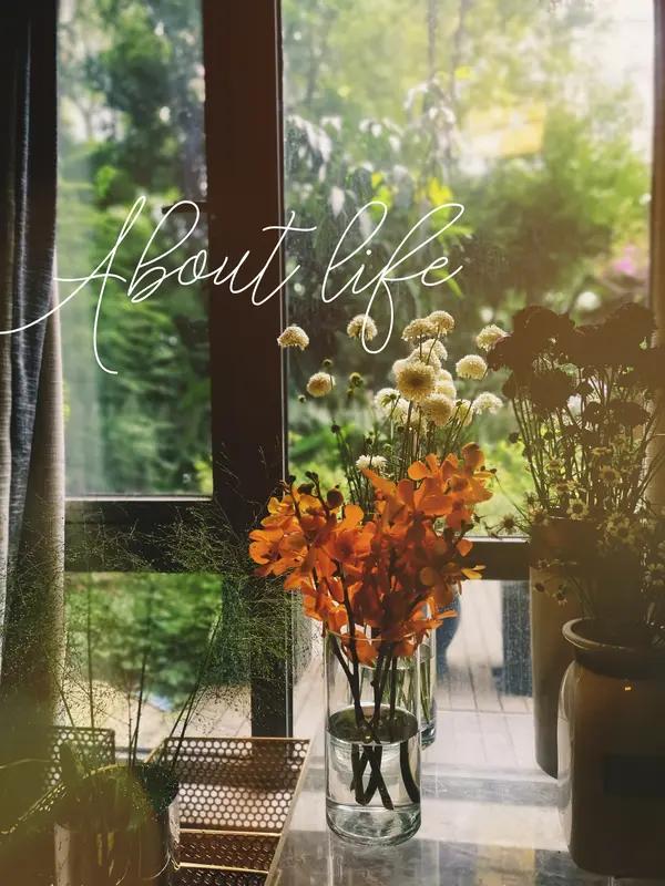 友友说的太对了。
成年人的世界里，
要学会自愈。
想开、看开、放开
开心一天是一