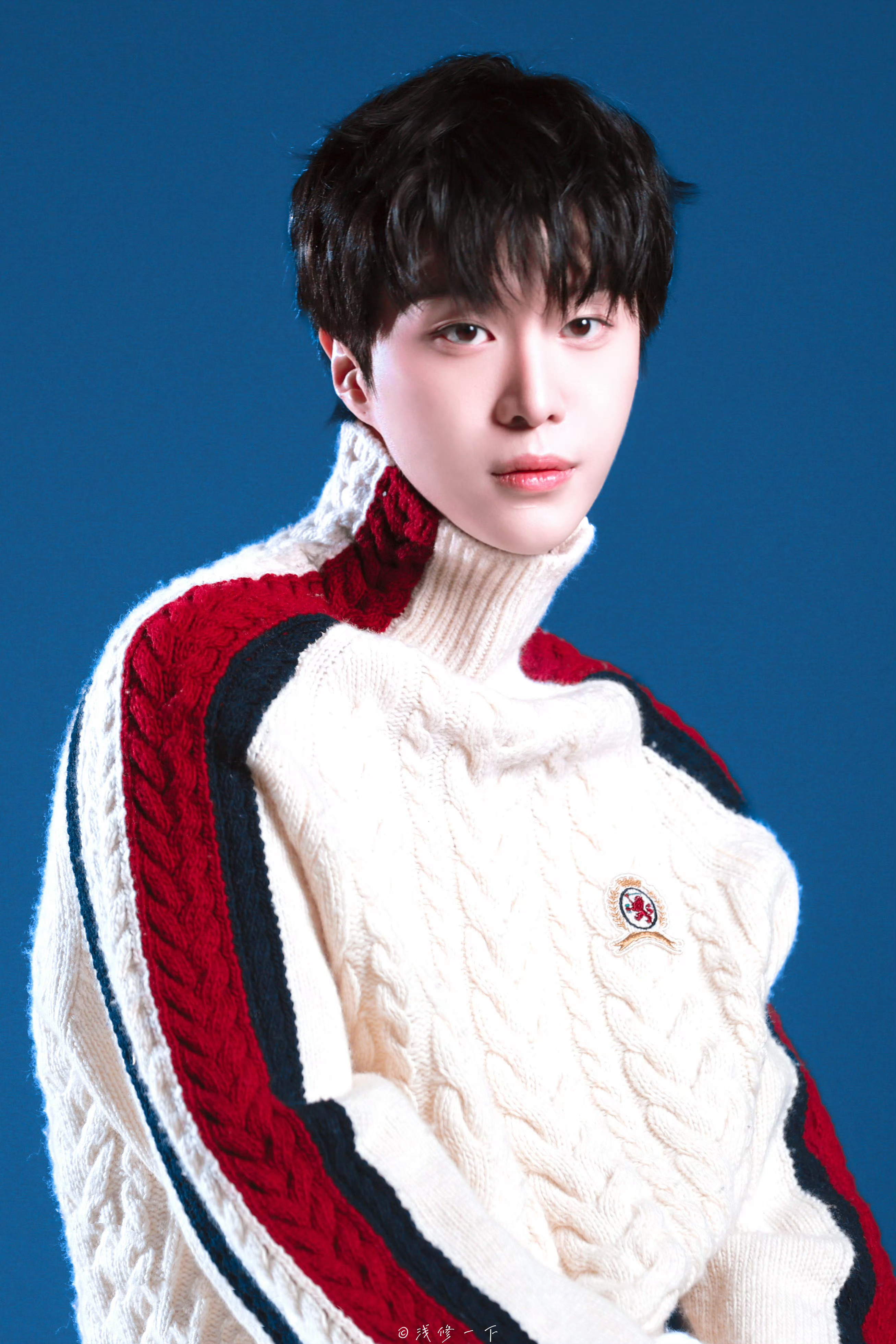 小狗。 ​​​