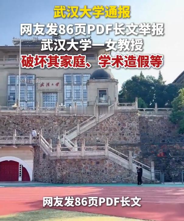 武大通报女教授被举报事件 武大教授事件梳理：86页PPT揭开一段跨越十年的情感纠
