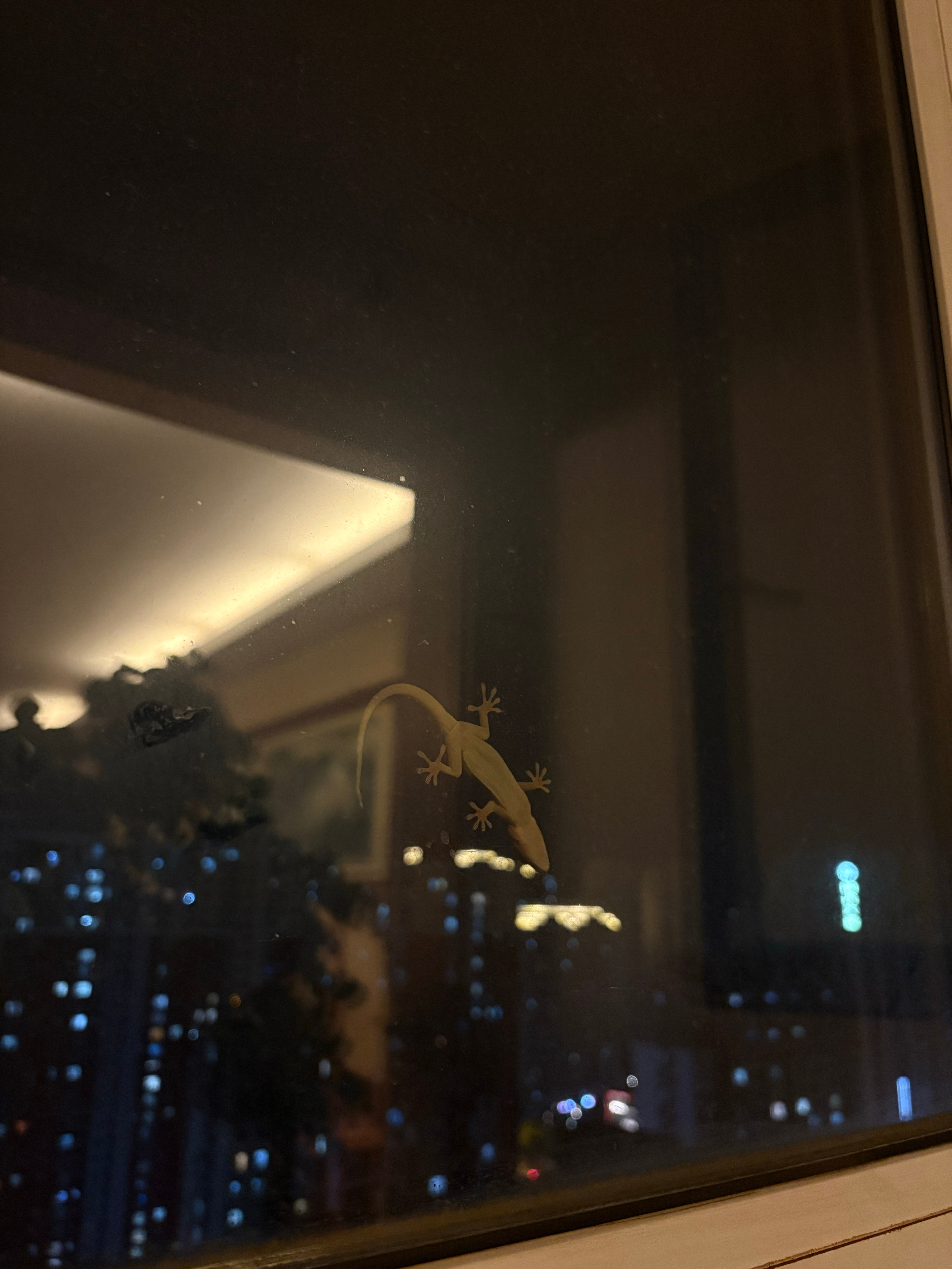 北方的夏天和初秋，都充斥着一种前所未有的、莫名的、时空错乱的潮湿、闷热，好像身处