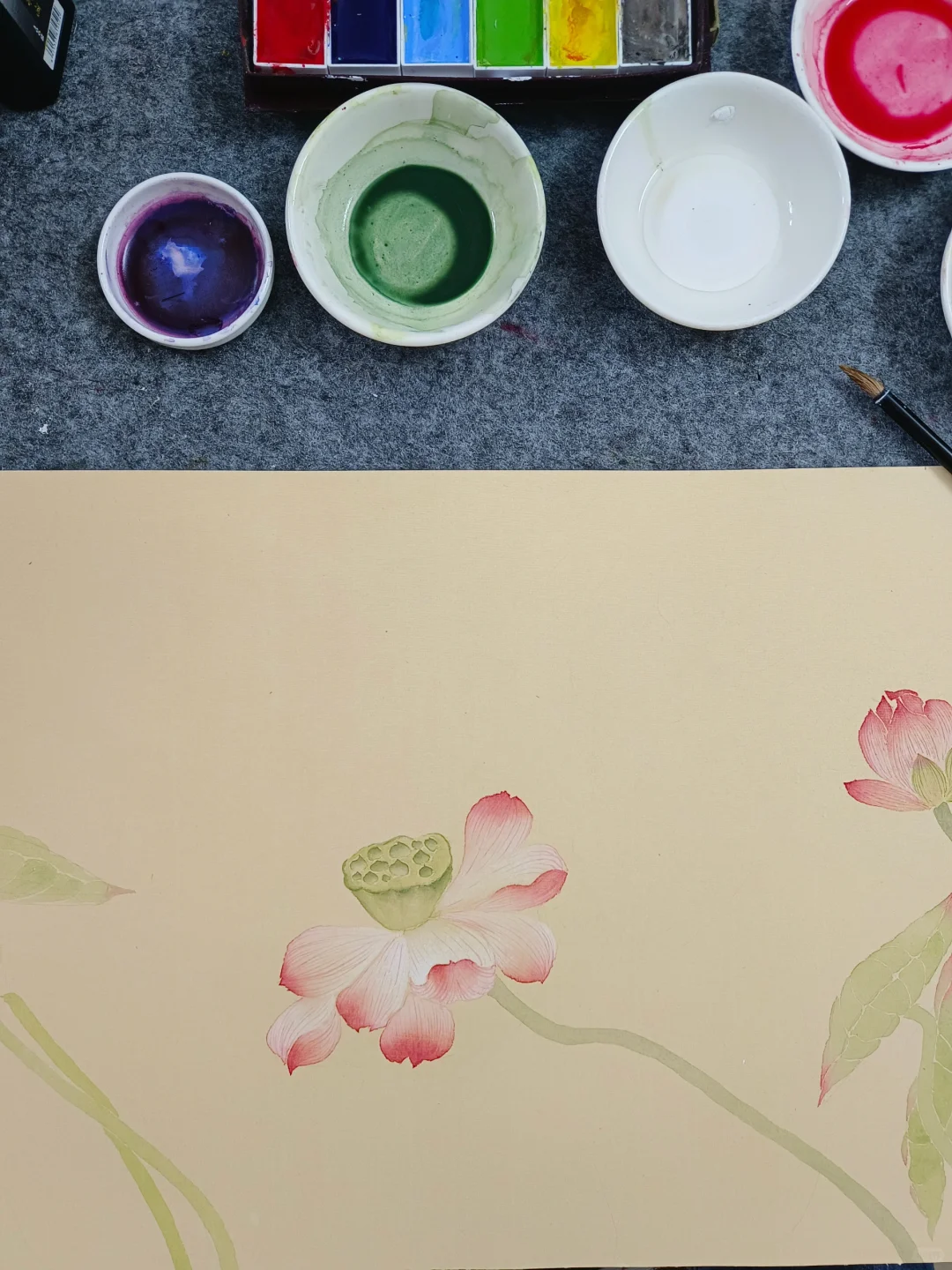 粉荷.青莲