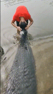 这不得去申请个吉尼斯？