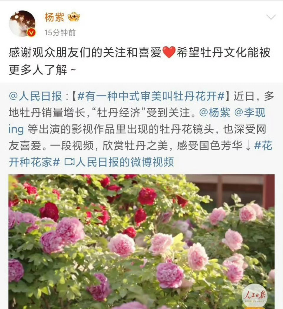 杨紫感谢观众 杨紫感谢观众朋友们的关注和喜爱，希望牡丹文化能被更多人了解[打ca