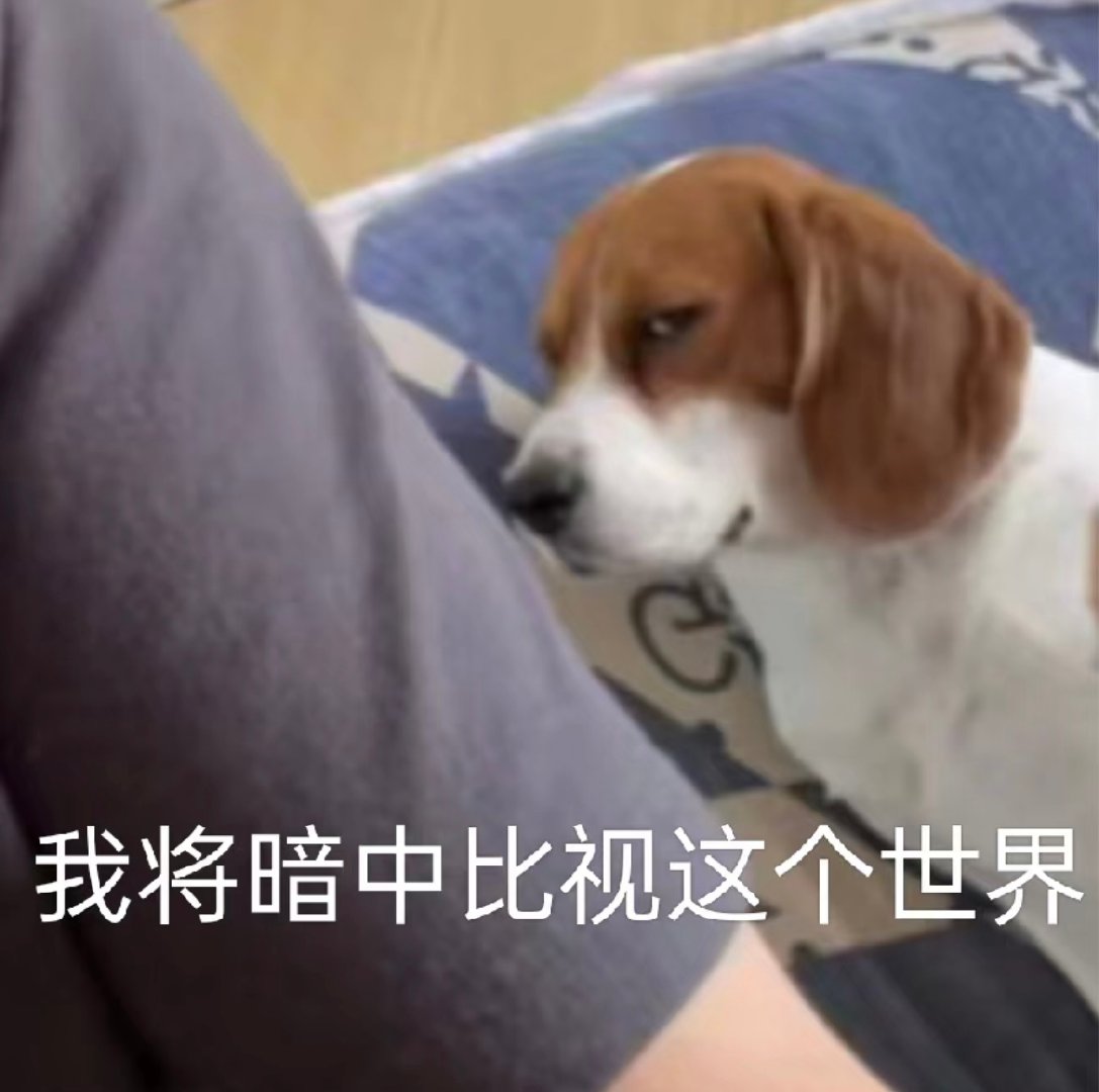 戴眼镜需要隔三差五换眼镜鼻托，它会发黄，会被镜框的铜绿沾上。之前都是去店里花钱让