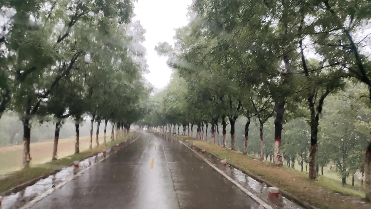 一句话概括，幸福是什么⊙∀⊙？ 幸福的定义好像总在变。小时候，幸福是拥有心爱的玩