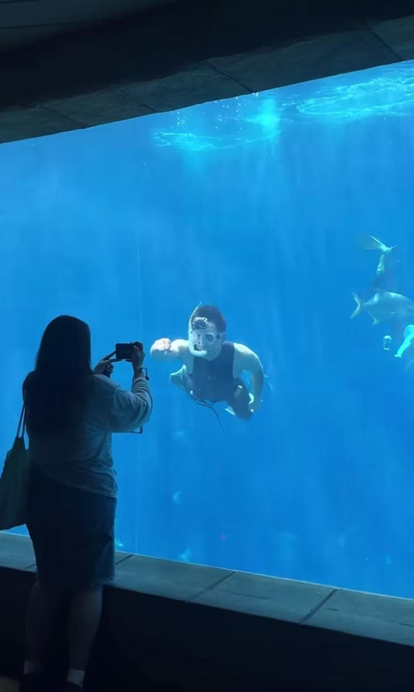 吴磊  豆包，把这个女生换成我水族馆的男美人鱼竟然是吴磊