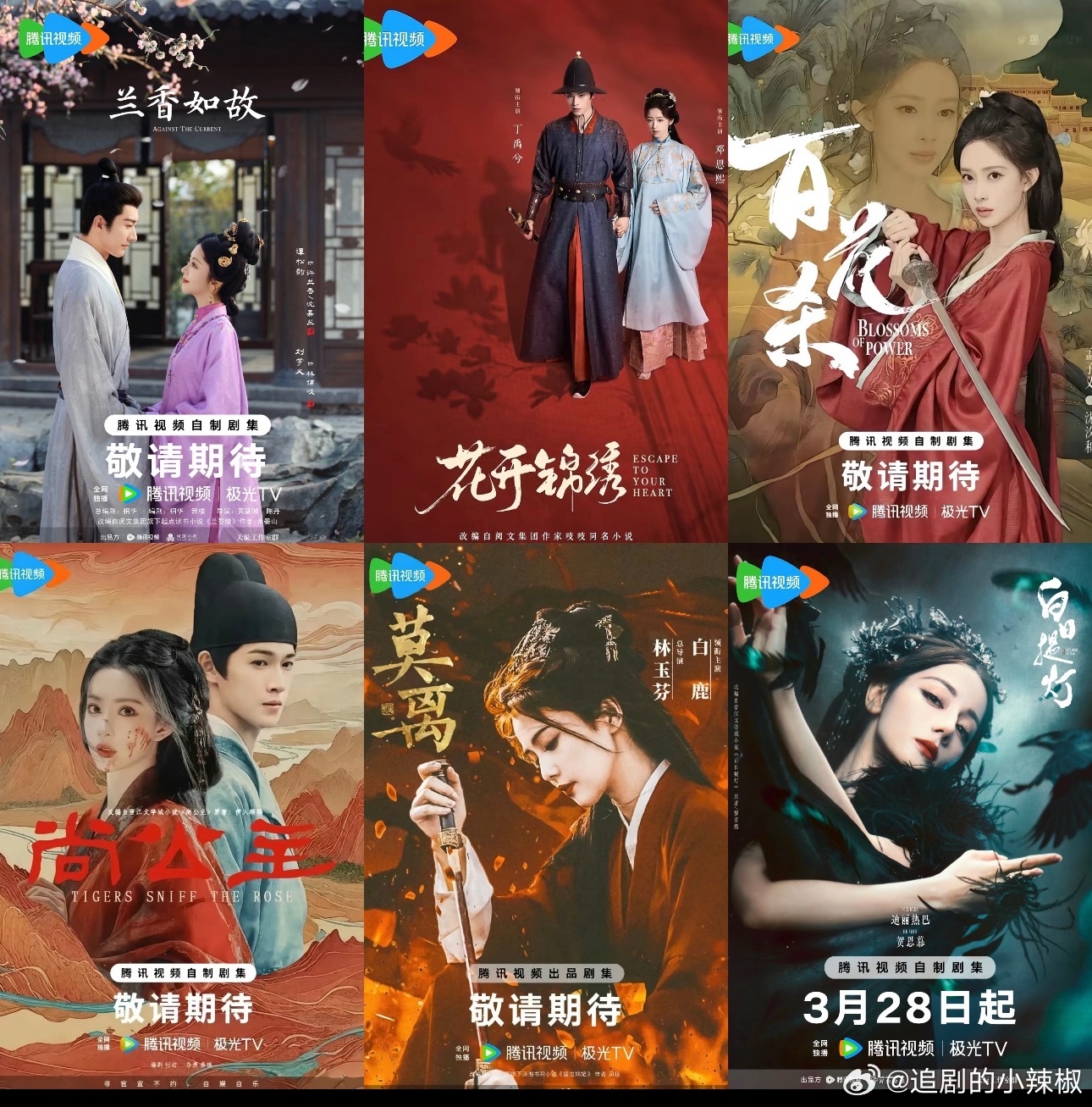 🐧今年的王炸剧了，看好哪部古偶破3w 