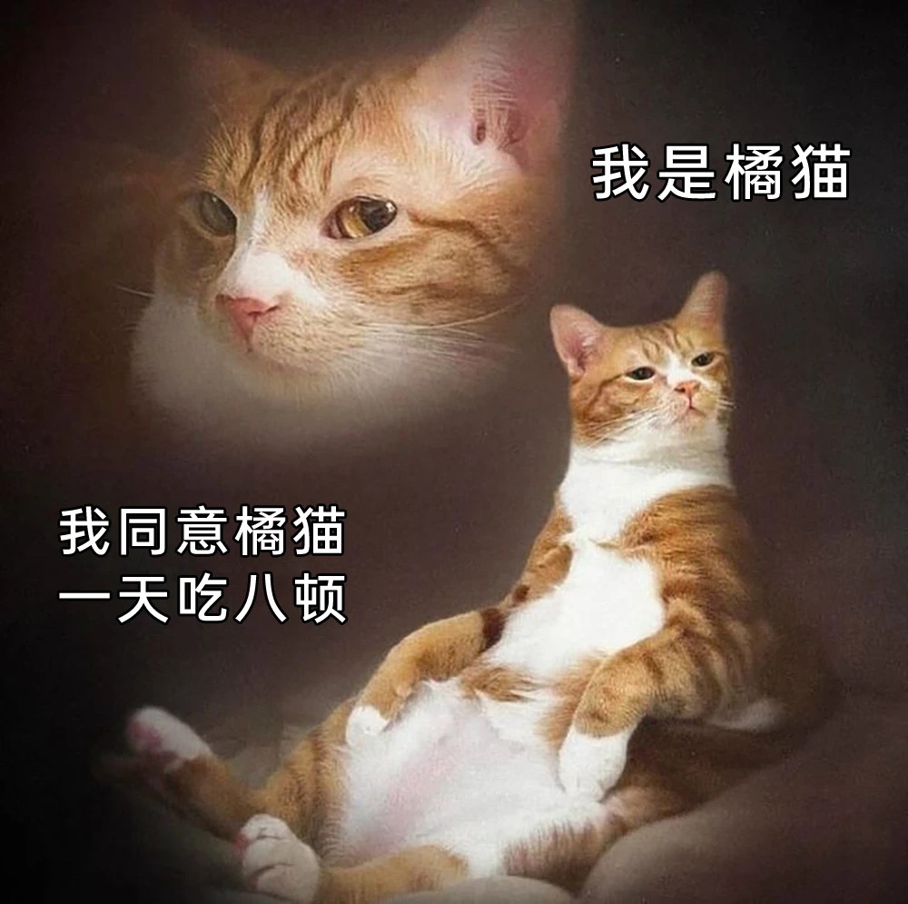 你当然同意了 ​​​
