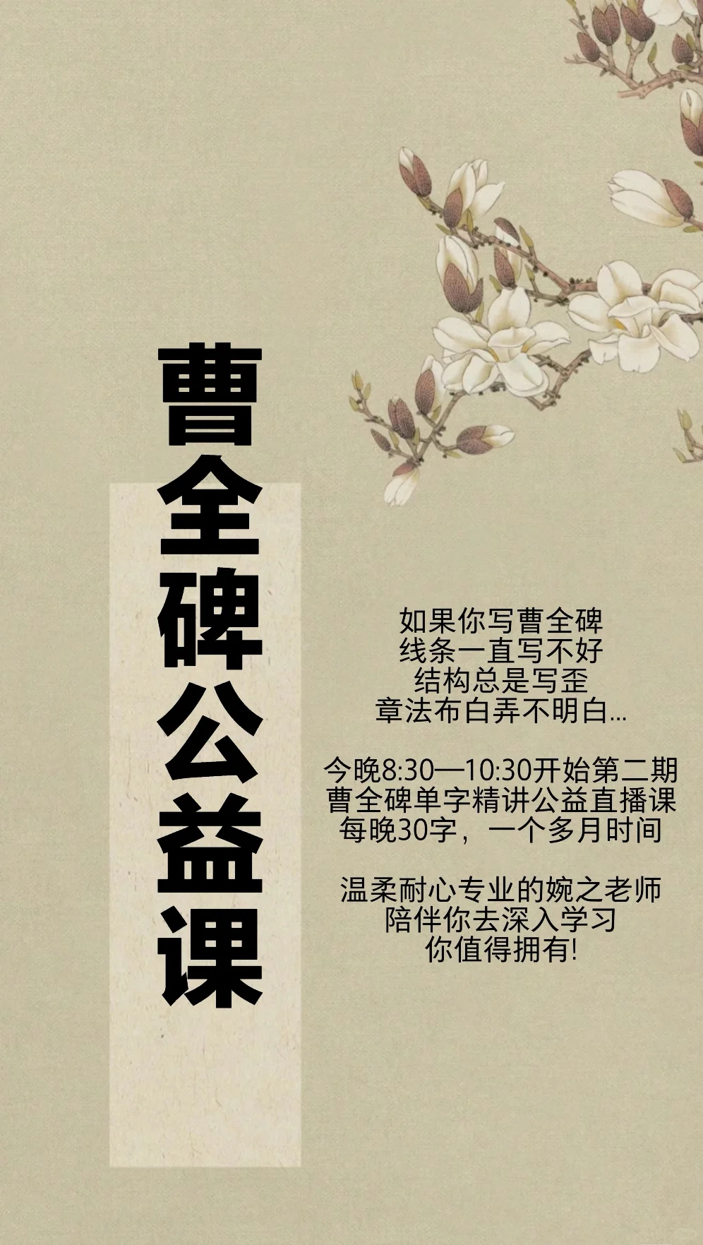 曹全碑第二期训练营单字精讲直播课